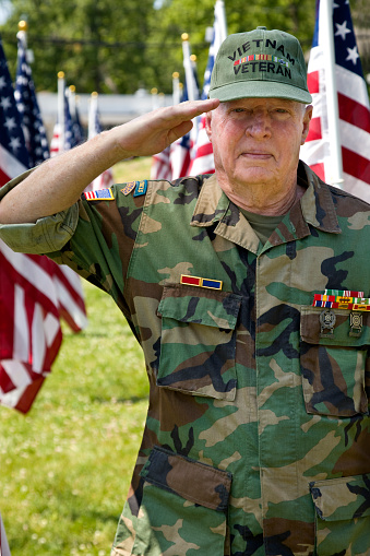 Decorated American Veteran with military ribbons, in uniform in a sea of American Flags.
