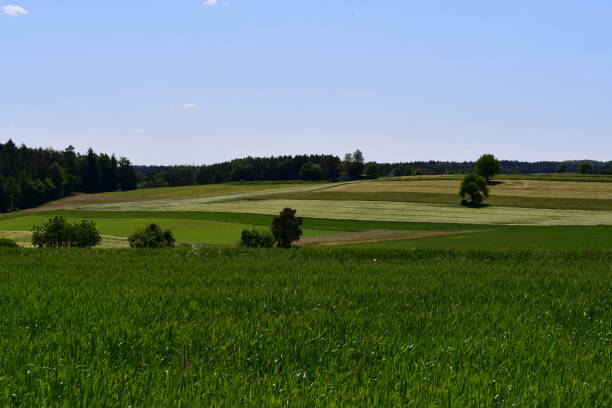 istock Beautiful landscape at Franconia 1495903545