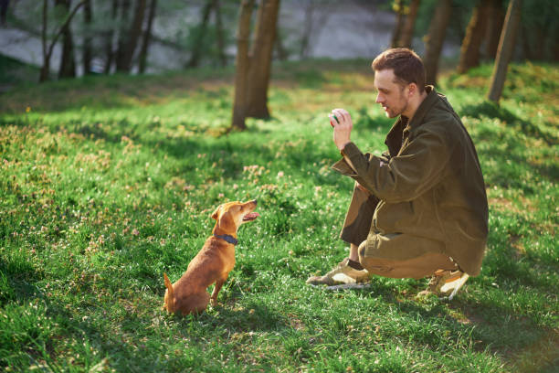 Handsome Man Plays with Cute Little Dog, Training, Teaching Tricks and Commands in the city park. Sunny Day with Green Grass Having Fun with Man's Best Friend. High quality photo