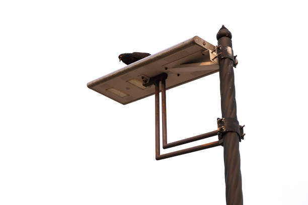 istock lamp post on the street 1495905106
