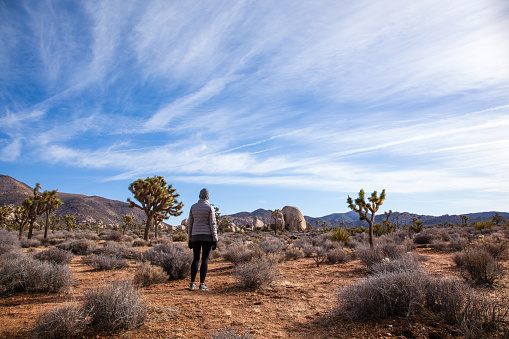 Woman walking among the dramatic desert landscape of Josha trees and giant boulders in Joshua Tree National Park