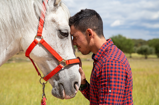 Young man touching white horse affectionately