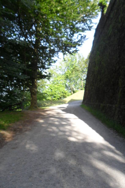 Dirt path surrounded by nature and a medieval stone wall