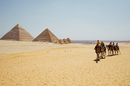 Egypt, Cairo, asian group tourists riding camel with Great Pyramid of Giza in background