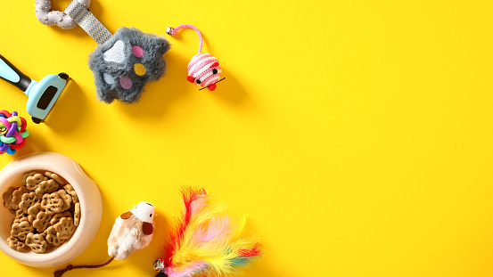 Flat lay composition with pet accessories and cat food in bowl on yellow background.