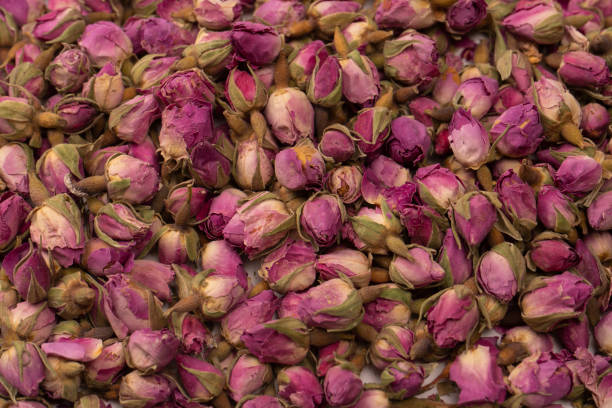 istock Dry tea roses isolated on white background. 1495916464