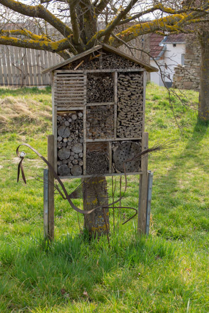 istock Insect hotel stands in front of a tree on a green meadow 1495916847