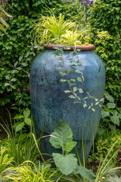 Creeper-plant that goes around a clay jar