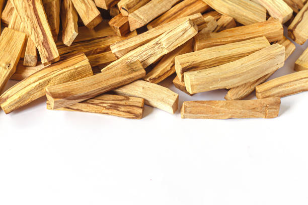 istock Palo santo holy sacred tree stick 1495921911