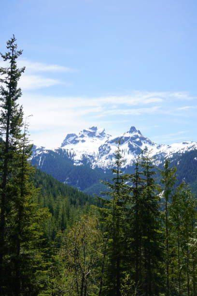 istock Canadian West Coast Mountains 1495921962