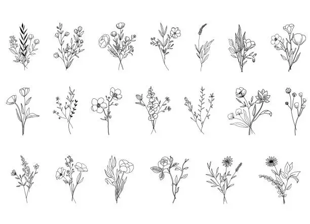 Vector illustration of Botanical abstract line arts, hand drawn bouquets of herbs, flowers, leaves and branches, vector illustration