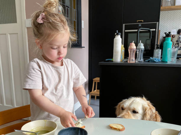 istock Toddler girl with her dog 1495926595