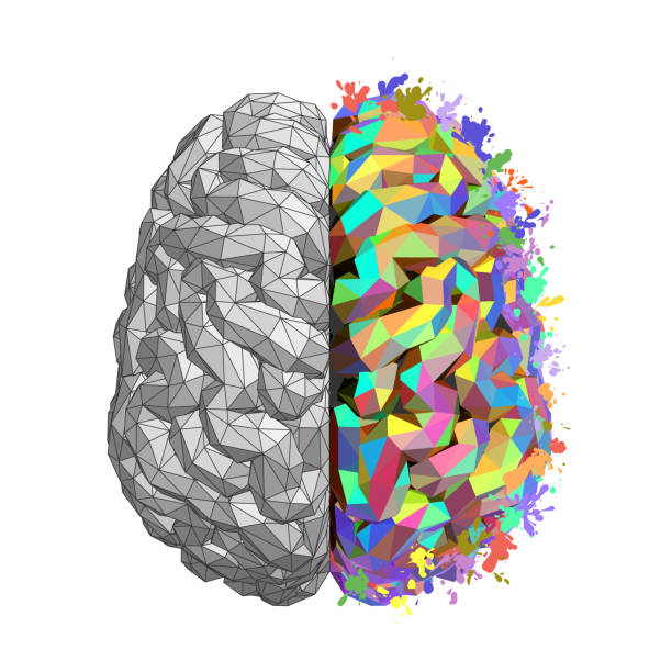 istock Left and Right Hemisphere of Human Brain Concept, Logical Thought of Left Hemisphere and Imagination of Right One, Vector Illustration 1495927763