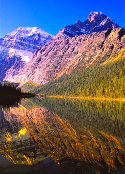 istock Mount Edith Cavell - Lake Edith Cavell - Banff NP - Alberta, Canada 1495932661