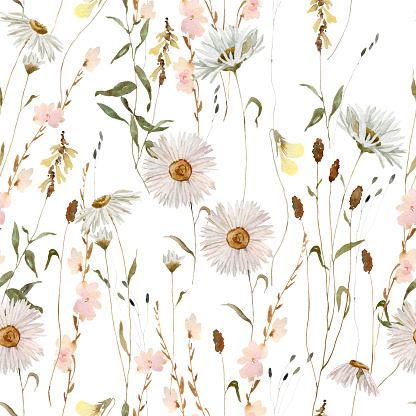 Watercolor delicate wildflowers, daisy, camomile, floral seamless pattern. Blooming meadow tile. Hand drawn elegant, botanical background. Repeatable texture, wrapping paper,wallpaper, fabric, textile