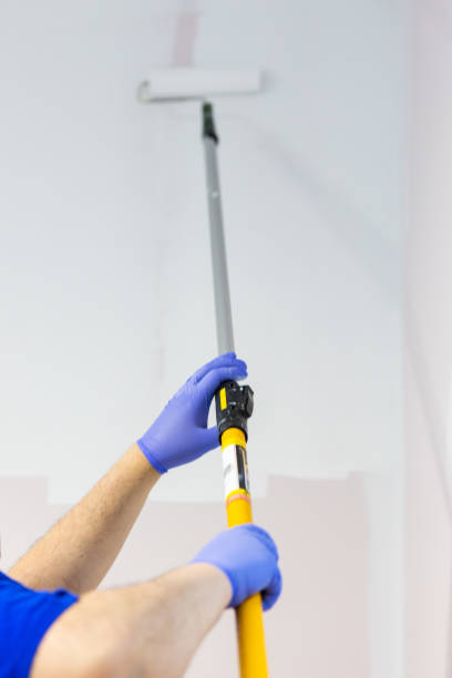 istock A person painting a wall with primer paint 1495936928