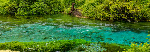 istock Blue Eye Albania, Natural Spring, Valbone, Theth, Thethi, Europe 1495940649