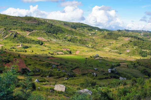 istock Typical Madagascar landscape - green and yellow rice terrace fields on small hills with clay houses in region near Vohiposa 1495945889