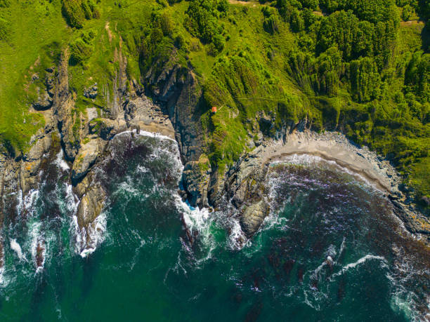 istock Aerila view of the coastline 1495947222