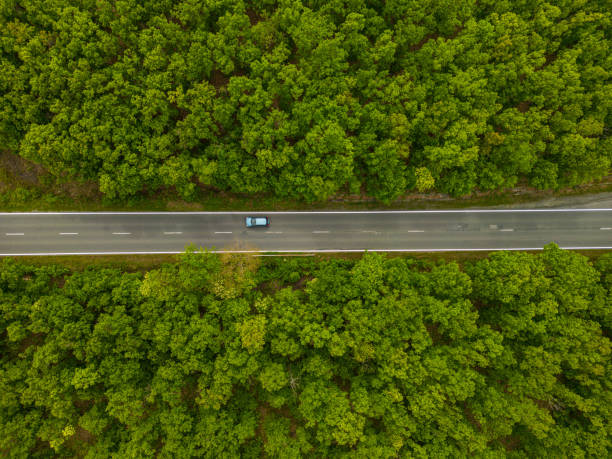 istock Aerial view of suburban road between trees 1495947226