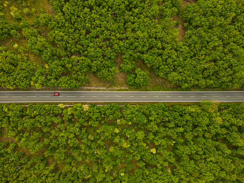 Aerial view of suburban road between trees