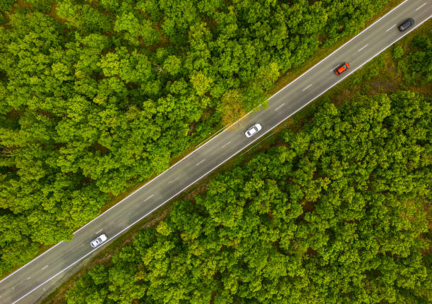 istock Aerial view of suburban road between trees 1495947233