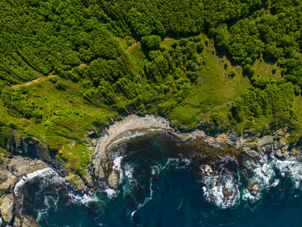 istock Aerila view of the coastline 1495947236