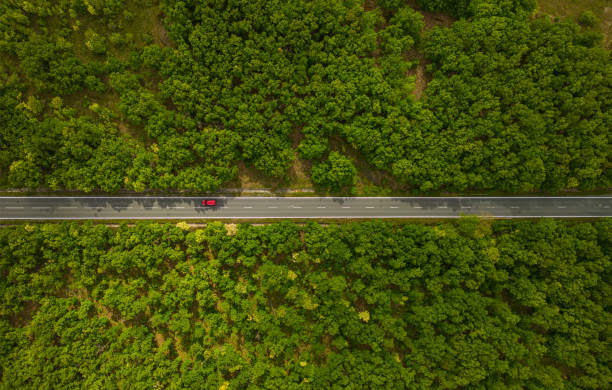 istock Aerial view of suburban road between trees 1495947237