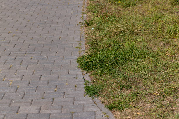 istock grass growing through the seams on the road tile 1495950814