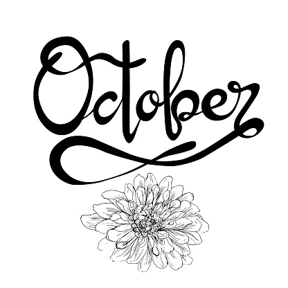 Handwritten and vectorized lettering sign October. Graphic resource on white background, October month of the year with Dahlias flowers