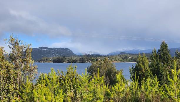 plants, trees in the foreground, lake in the background and mountains in the background in Sur, Patagonia Argentina stock photo