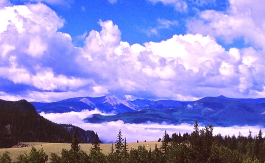 The San Juan Mountains are framed by a grassy meadow, pine trees and beautiful white puffy clouds in a sky of blue.