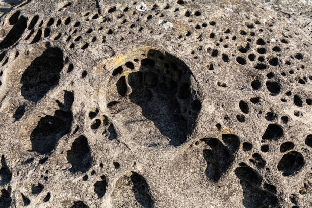 Unique sandstone formations along the shoreline of Hornby Island, a popular travel destination along the west coast of Canada.