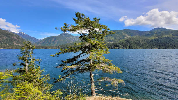 istock Tahsis, British Columbia Scenic Waterfront 1495962802