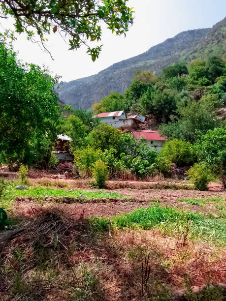 istock Some houses in the countryside 1495967393