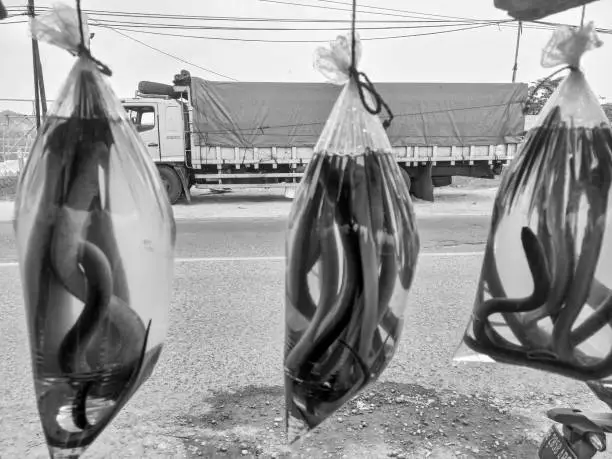 eel already wrapped and sold on the roadside