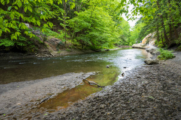Scenery of Geyser Creek
