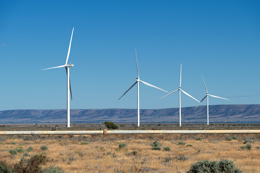 The wind turbines at Port Augusta Renewable Energy Park.