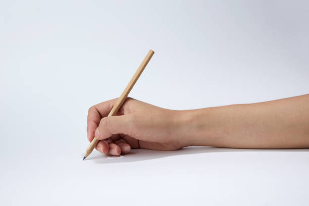 istock Hand holding a pencil isolated on white background 1495995846