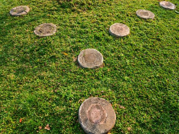 istock Rounded stepping stones in the garden 1495996815