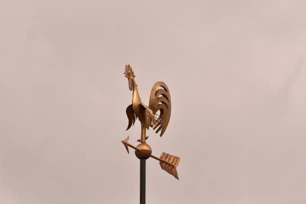 golden Cock Wind Indicator in germany ,