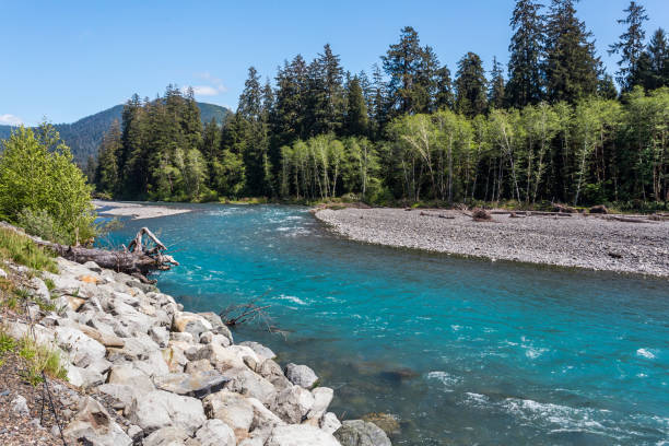 Hoh River in the Olympic National Park, Washington, USA