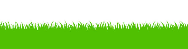 ilustrações de stock, clip art, desenhos animados e ícones de black silhouettes of grass vector - blade of grass