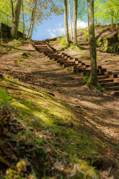 istock Wooden Stairway Amidst Lush Green Forest 1496000394