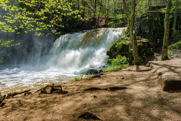 istock Rushing Waterfall in forest with water mist spray 1496000395