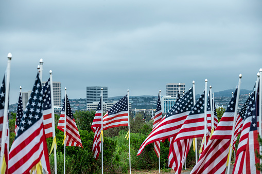 1776 flags on display during the 14th annual Field of Honor at Castaways Park in Newport Beach CA saluting the armed forces and first responders.