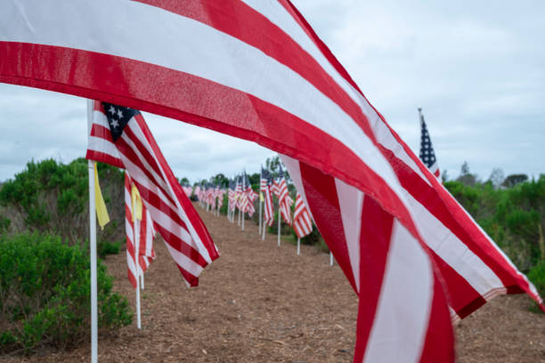 istock Field of Honor Flag Display in Newport Beach CA 1496001776