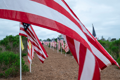 1776 flags on display during the 14th annual Field of Honor at Castaways Park in Newport Beach CA saluting the armed forces and first responders.