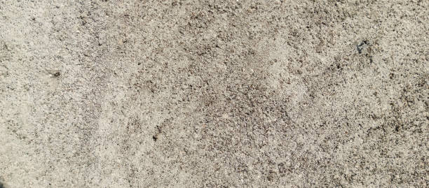 istock The texture of the cement wall that has been painted for the background 1496006627