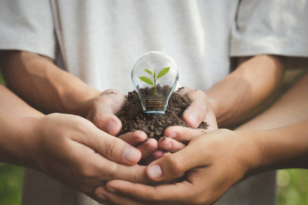 istock volunteer hands hold a small tree growing on coins and light bulbs, energy saving, and Eco business investment. Renewable energy generation is essential in the future. environment sustainably. 1496008661